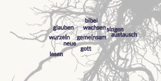 Wurzelwerk